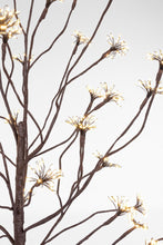 Load image into Gallery viewer, Orlando Store™ - Albero Artificio 600 Microled
