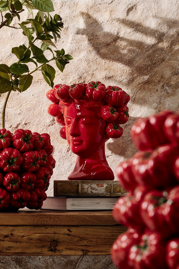 Orlando Store™ - Vaso Gazpacho Lady Rosso H29