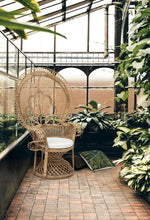 Carica l'immagine nel visualizzatore di Gallery, Orlando Store™ - Poltrona Peacock Naturale