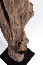 Carica l'immagine nel visualizzatore di Gallery, Orlando Store™ - Piantana Kleta Nero H180