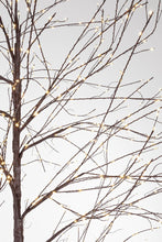 Load image into Gallery viewer, Orlando Store™ - Albero Bunch 2000 MICROLED