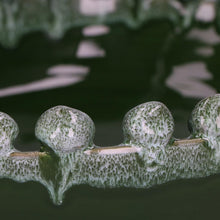 Load image into Gallery viewer, Orlando Store™ - Centrotavola M Reginaldo