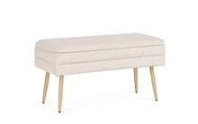 Carica l'immagine nel visualizzatore di Gallery, Orlando Store™ - Panca Contenitore Olga Bianco