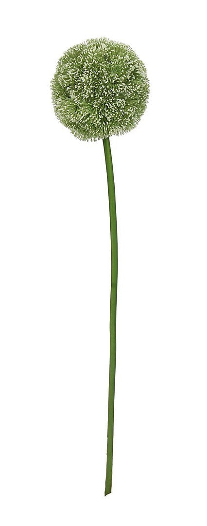Orlando Store™ - Allium Hazely Verde H63CM
