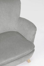 Carica l'immagine nel visualizzatore di Gallery, Orlando Store™ - Poltrona Chenille Grigio Chiaro