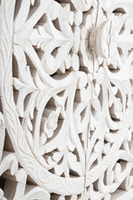 Carica l'immagine nel visualizzatore di Gallery, Orlando Store™ - Credenza 2 Ante Alinta L