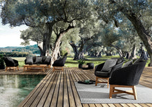 Carica l'immagine nel visualizzatore di Gallery, Orlando Store™ - Poltrona Coachella Antracite