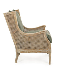Load image into Gallery viewer, Orlando Store™ - Carolina armchair