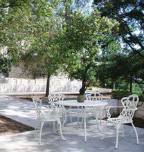 Load image into Gallery viewer, Orlando Store™ - White Victoria Chair