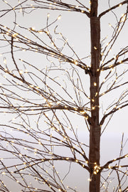 Orlando Store™ - Albero Bunch 2700 MICROLED H240