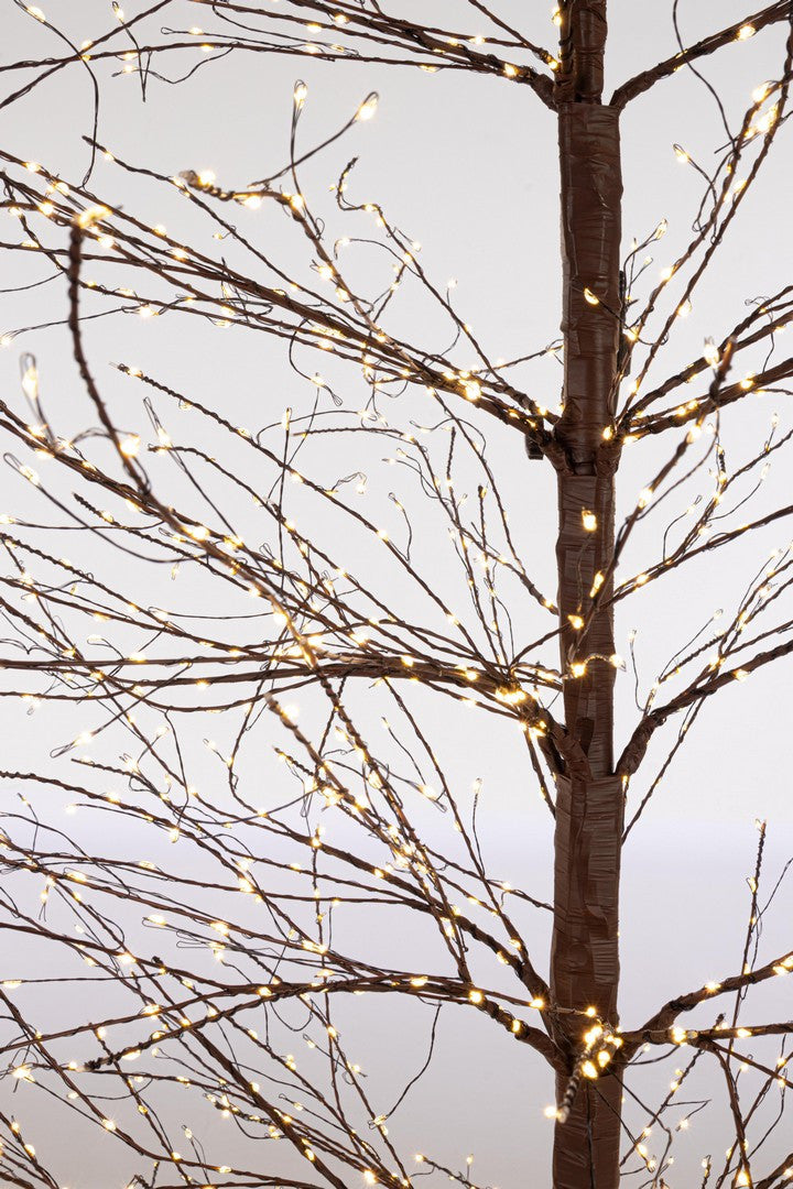 Orlando Store™ - Albero Bunch 2700 MICROLED H240