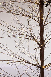 Orlando Store™ - Albero Bunch 3120 MICROLED H270