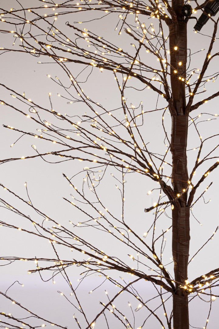 Orlando Store™ - Albero Bunch 3120 MICROLED H270