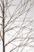 Load image into Gallery viewer, Orlando Store™ - Albero Bunch 600 Microled H120
