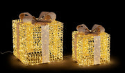 Orlando Store™ - SET 2 Pacco Regalo Zoe Oro Microled