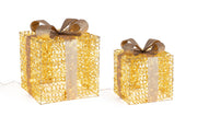 Orlando Store™ - SET 2 Pacco Regalo Zoe Oro Microled
