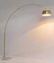 Load image into Gallery viewer, Orlando Store™ - Piantana New Class Oro Bianca
