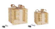Orlando Store™ - SET 2 Pacco Regalo Zoe Oro Microled