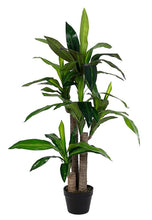 Load image into Gallery viewer, Orlando Store™ - Pianta Dracaena H110
