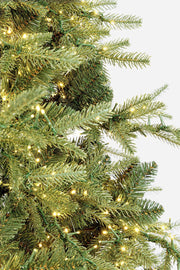 Orlando Store™ - Albero Ritter H240 7800 LED