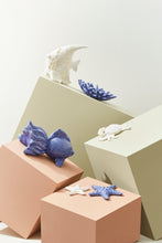 Load image into Gallery viewer, Orlando Store™ - Favignana White Porcelain Crab
