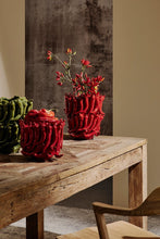 Load image into Gallery viewer, Orlando Store™ - Vaso Spicy Rosso H32
