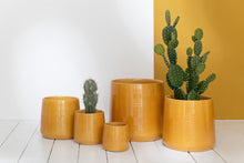 Load image into Gallery viewer, Orlando Store™ - Porta Vaso in Ceramica Ocra Extra Large
