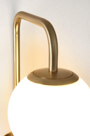 Orlando Store™ - Lampada Applique Delphine Tondo Dorato H50