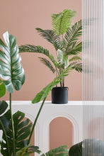 Load image into Gallery viewer, Orlando Store™ - Pianta Kenzia H120
