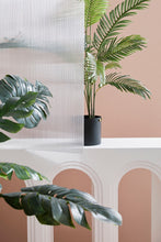 Load image into Gallery viewer, Orlando Store™ - Pianta Kenzia H120
