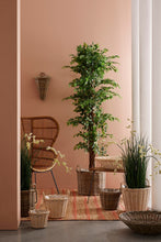 Load image into Gallery viewer, Orlando Store™ - Vassoio Randy Tondo Sbiancato D60
