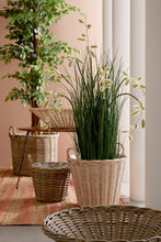 Load image into Gallery viewer, Orlando Store™ - Vassoio Randy Tondo Sbiancato D60
