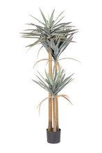 Load image into Gallery viewer, Orlando Store™ - Pianta Yucca 120 Foglie H152
