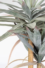Load image into Gallery viewer, Orlando Store™ - Pianta Yucca 120 Foglie H152
