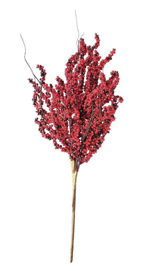 Orlando Store™ - Ramo Hambye Rosso H50