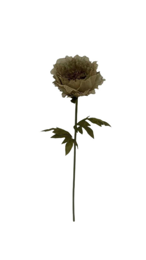 Orlando Store™ - Peonia Chantel Marrone H100