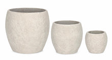 Carica l'immagine nel visualizzatore di Gallery, Orlando Store™ - SET 3 Porta Vaso Bombato Beige
