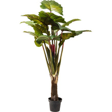 Carica l&#39;immagine nel visualizzatore di Gallery, Orlando Store™ - Pianta Decorativa Rainforest Green 160cm
