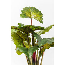 Carica l&#39;immagine nel visualizzatore di Gallery, Orlando Store™ - Pianta Decorativa Rainforest Green 160cm
