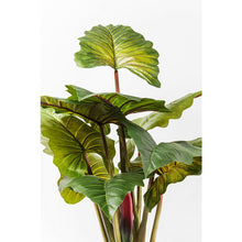 Load image into Gallery viewer, Orlando Store™ - Rainforest Green Decorative Plant 160cm
