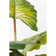 Carica l&#39;immagine nel visualizzatore di Gallery, Orlando Store™ - Pianta Decorativa Rainforest Green 160cm

