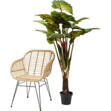 Carica l&#39;immagine nel visualizzatore di Gallery, Orlando Store™ - Pianta Decorativa Rainforest Green 160cm
