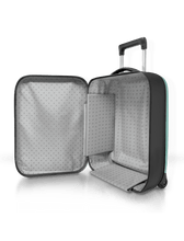 Carica l&#39;immagine nel visualizzatore di Gallery, Orlando Store™ - Flex Vega Carry Aquifer
