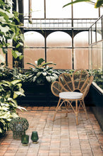 Carica l&#39;immagine nel visualizzatore di Gallery, Orlando Store™ - Sedia Flores Naturale
