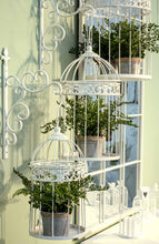 Carica l&#39;immagine nel visualizzatore di Gallery, Orlando Store™ - Gancio Emily S
