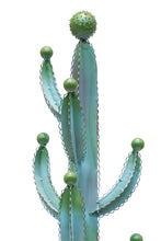 Carica l&#39;immagine nel visualizzatore di Gallery, Orlando Store™ - Cactus - Attaccapanni in Metallo Verde
